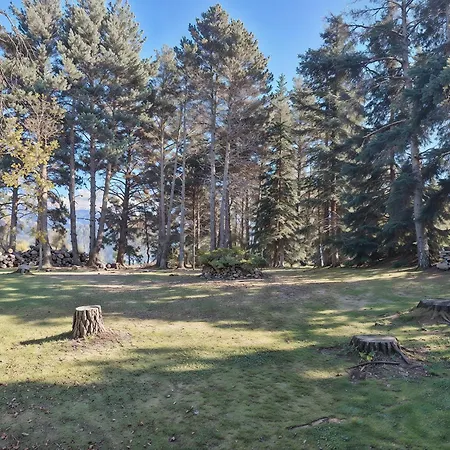 Apartment Refugio En El Bosque