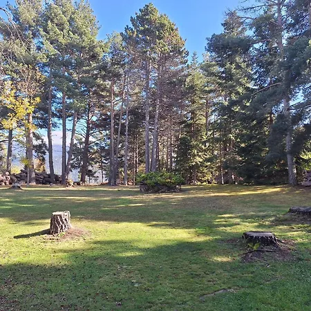 Refugio En El Bosque Apartmán La Molina (Girona)