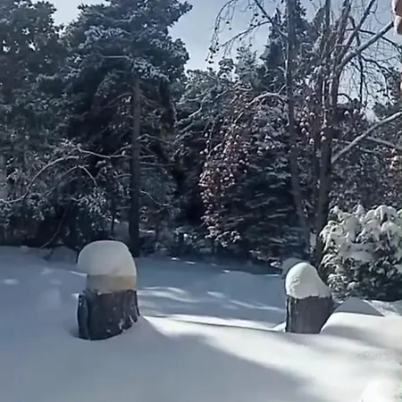 Refugio En El Bosque La Molina (Girona)
